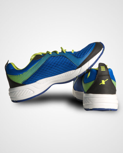 sports shoe1